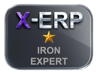 X-ERP IRON EXPERT Badge